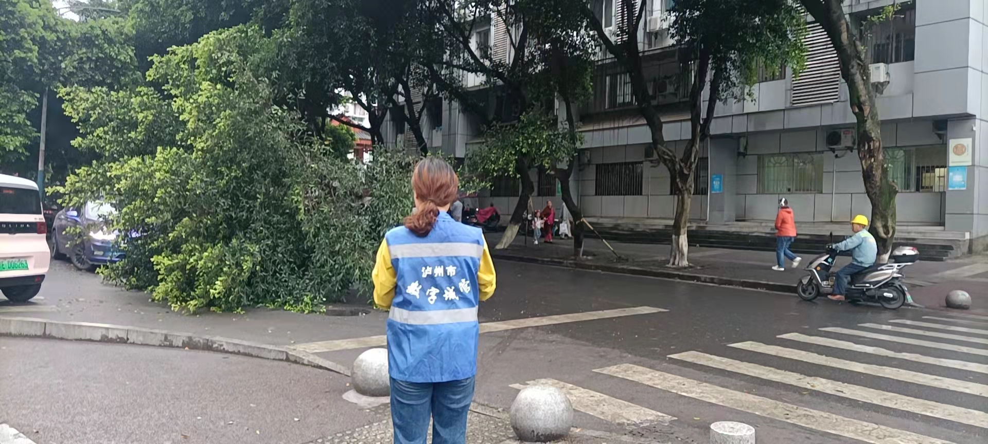 堅持雨后精準采集，共護市民出行安全