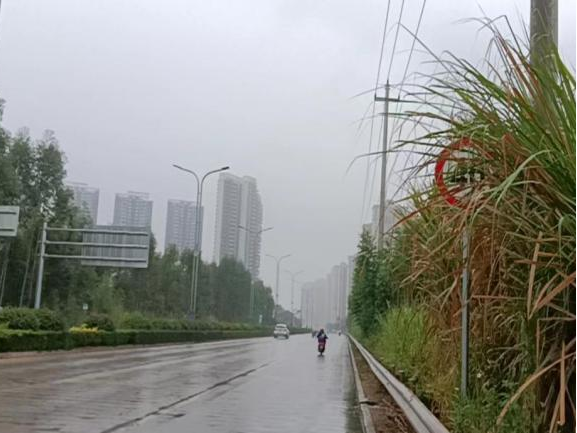 全力以赴戰寒潮，姜汁湯圓暖人心